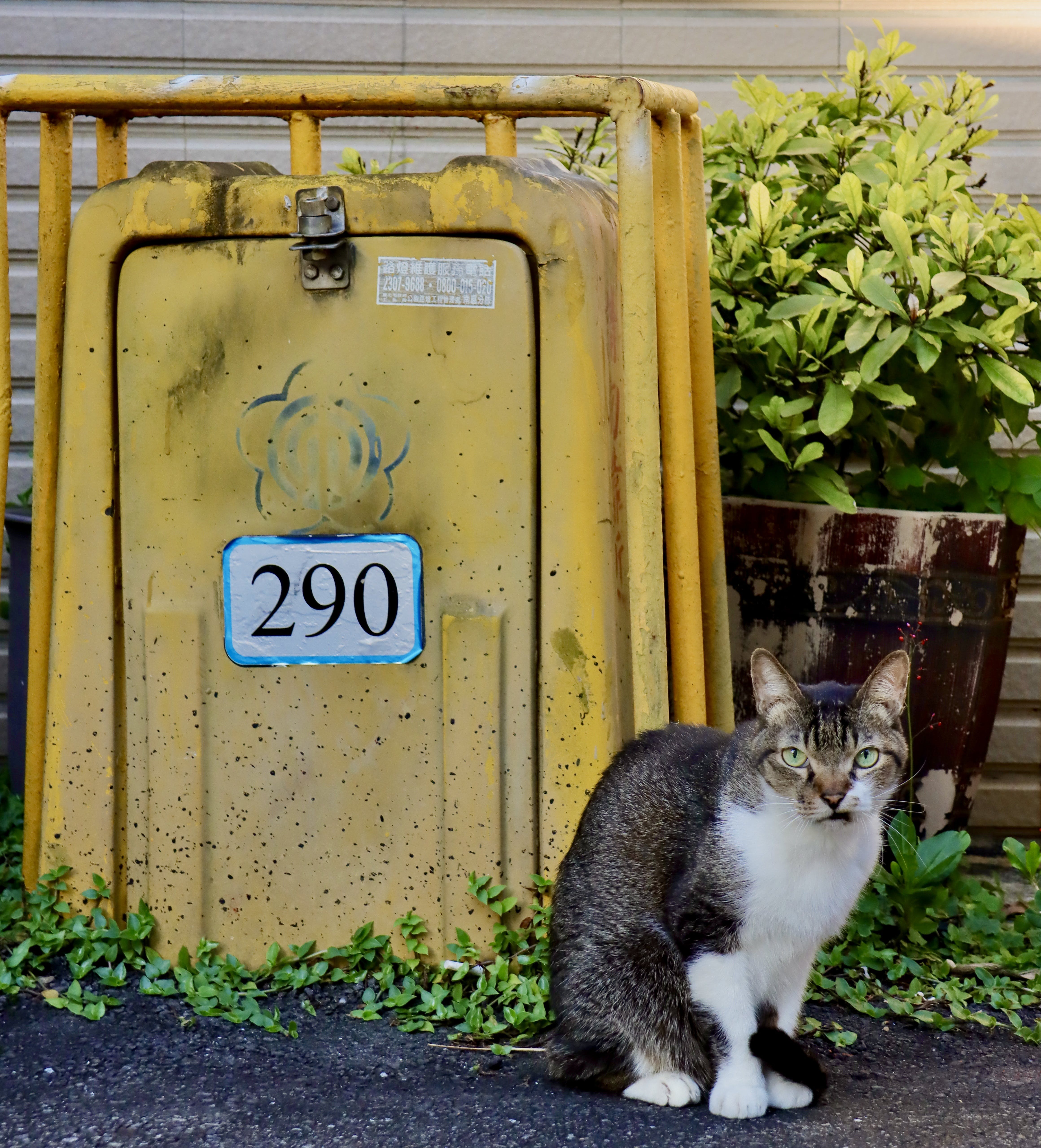 保険の種類:必要なものを知ろう